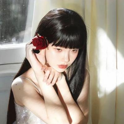 哈莱姆的郁金香